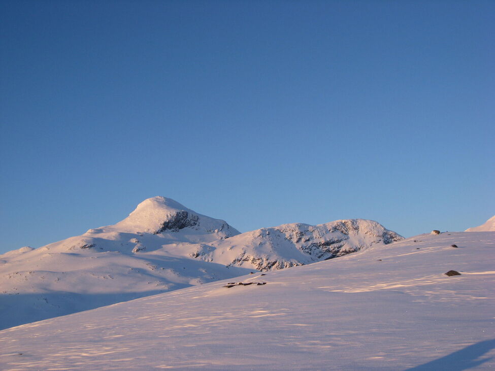 Klicka för att förstora