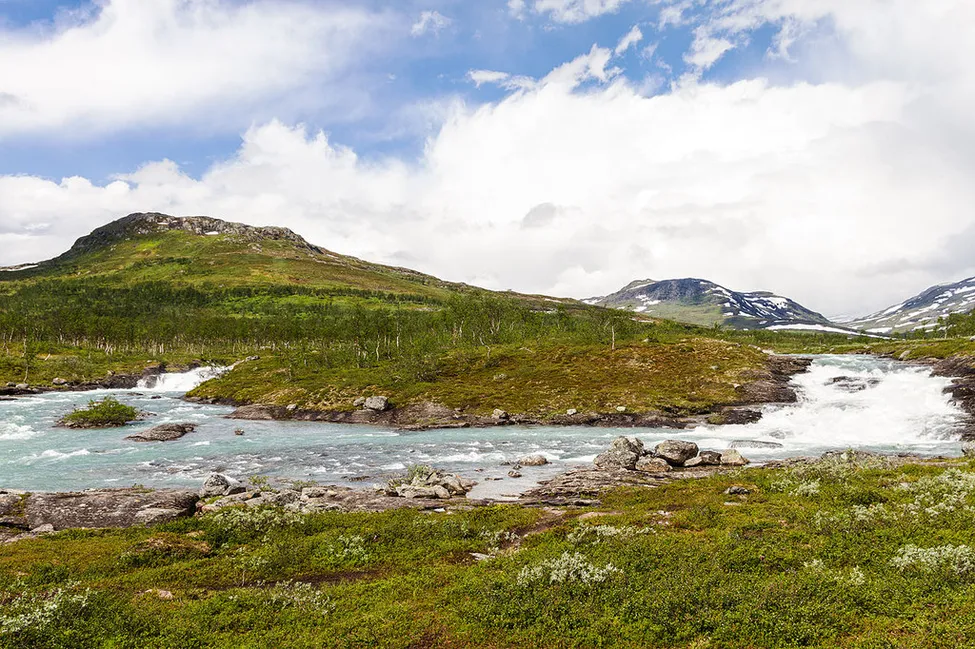 Klicka för att förstora