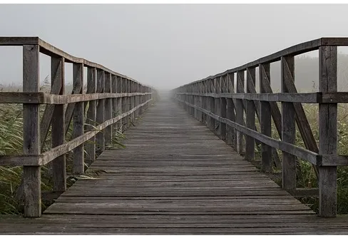 Stort intresse för att driva lokala naturvårdsprojekt