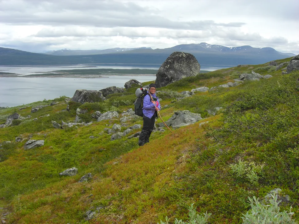 Klicka för att förstora
