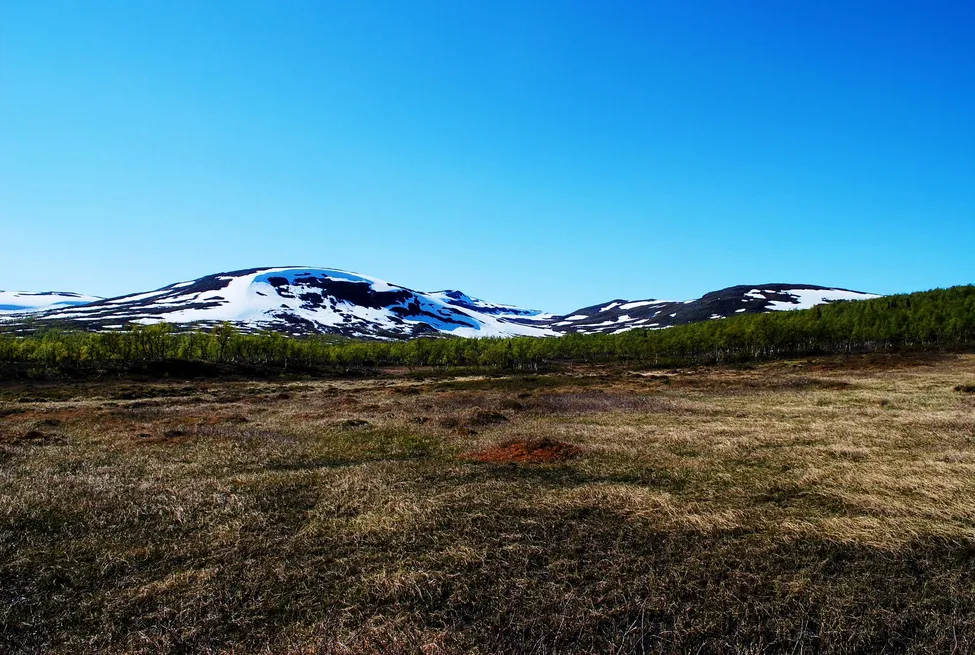 Klicka för att förstora