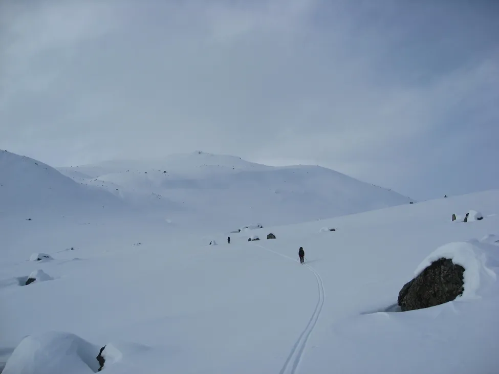 Klicka för att förstora