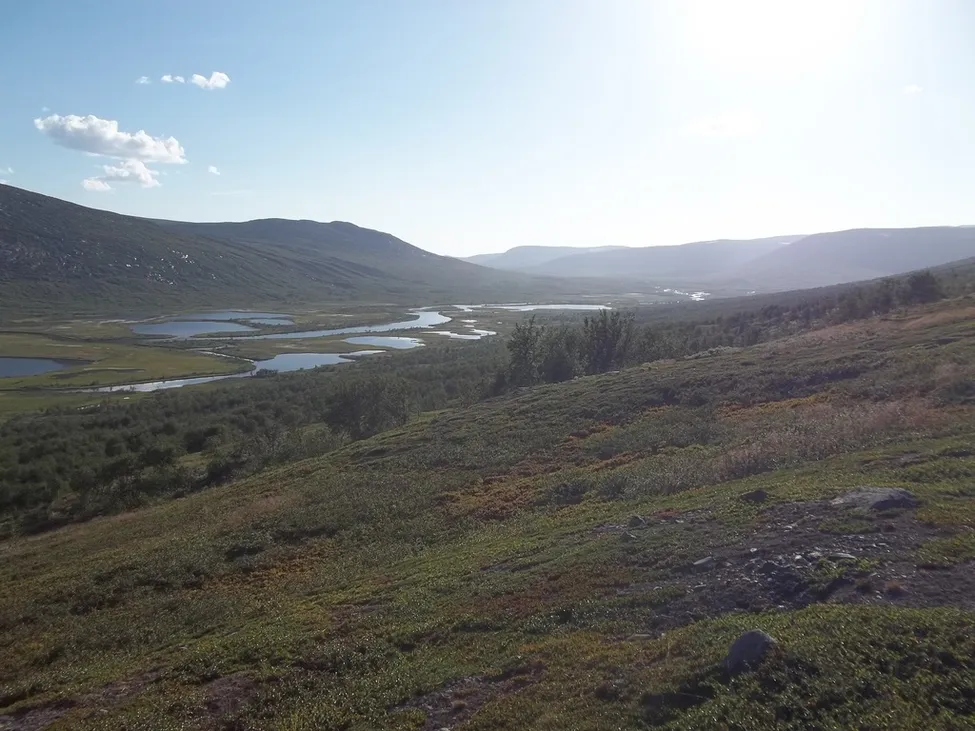 Klicka för att förstora