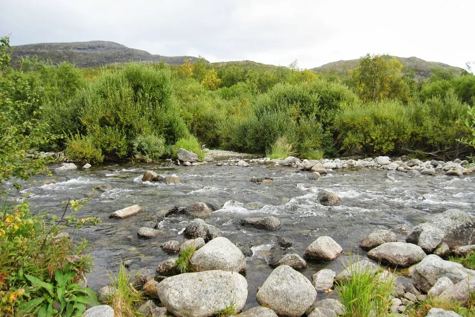 Klicka för att förstora