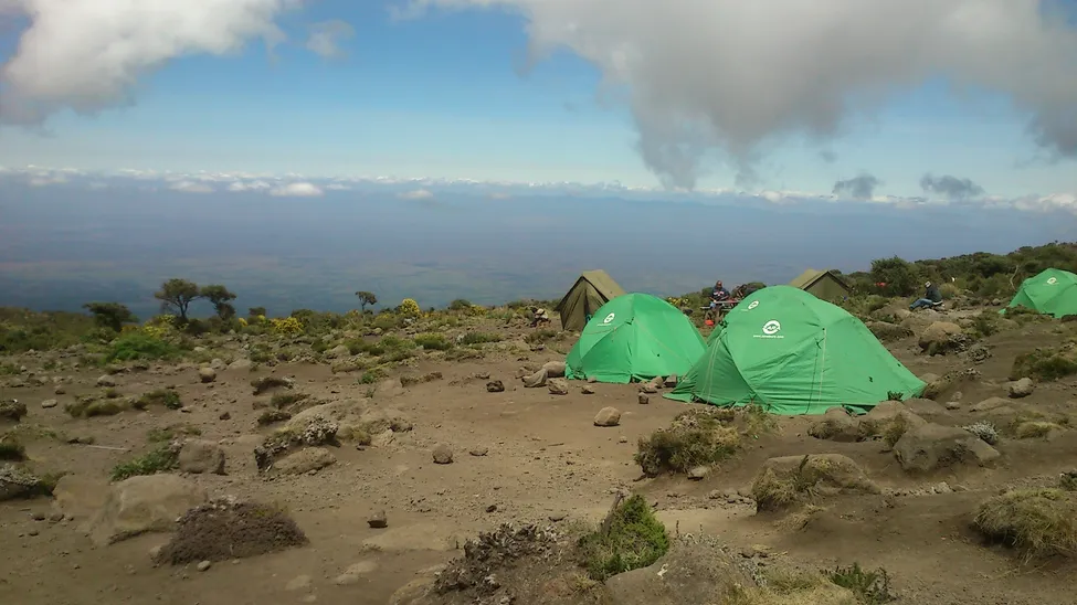 Klicka för att förstora