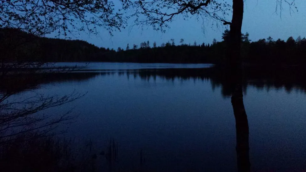 Klicka för att förstora