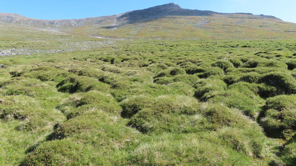 Klicka för att förstora