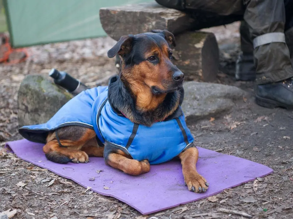 Klicka för att förstora