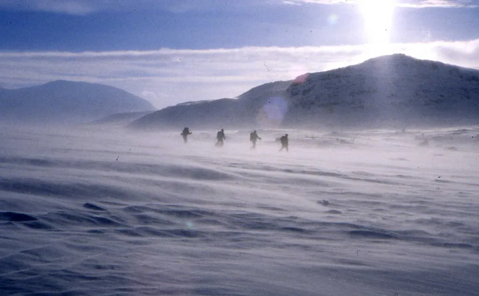 Klicka för att förstora