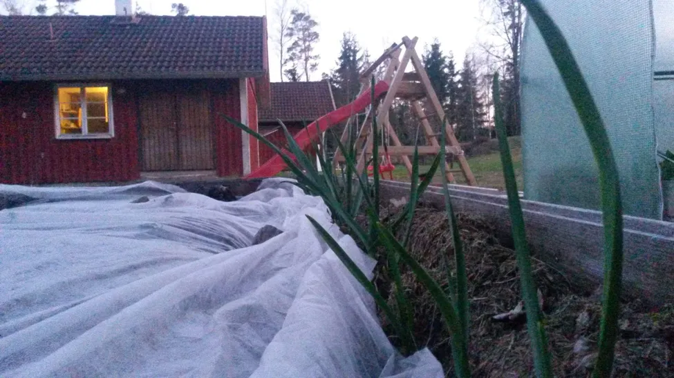 Klicka för att förstora