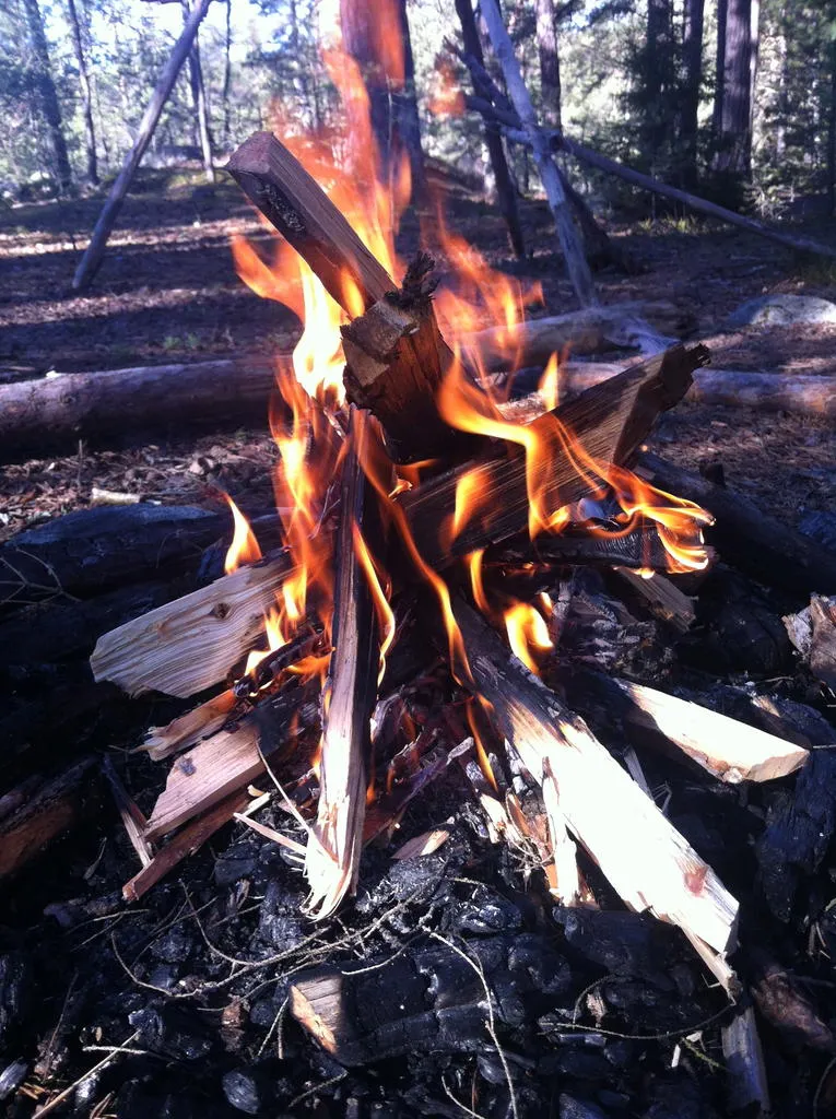 Klicka för att förstora