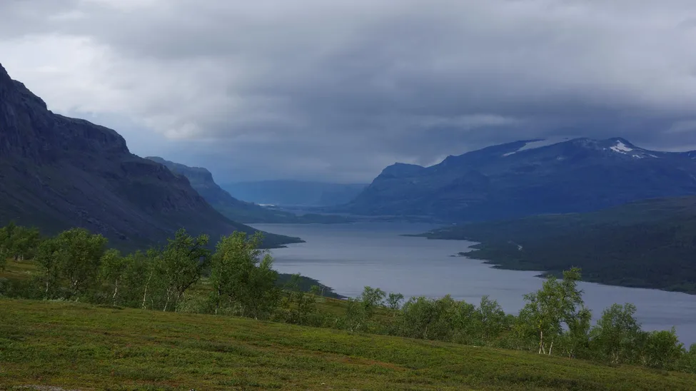 Klicka för att förstora