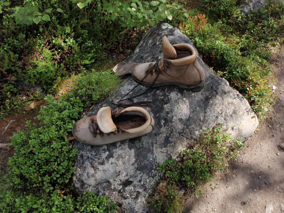 Klicka för att förstora