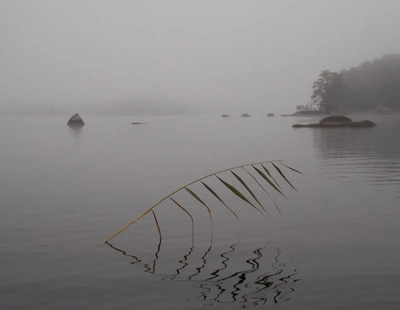 Klicka för att förstora