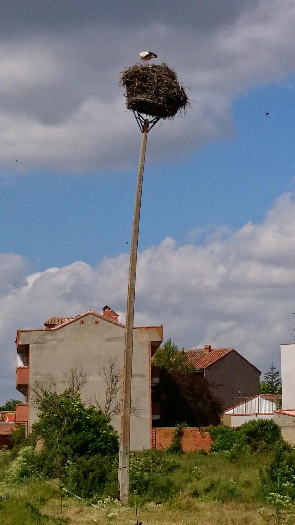 Klicka för att förstora