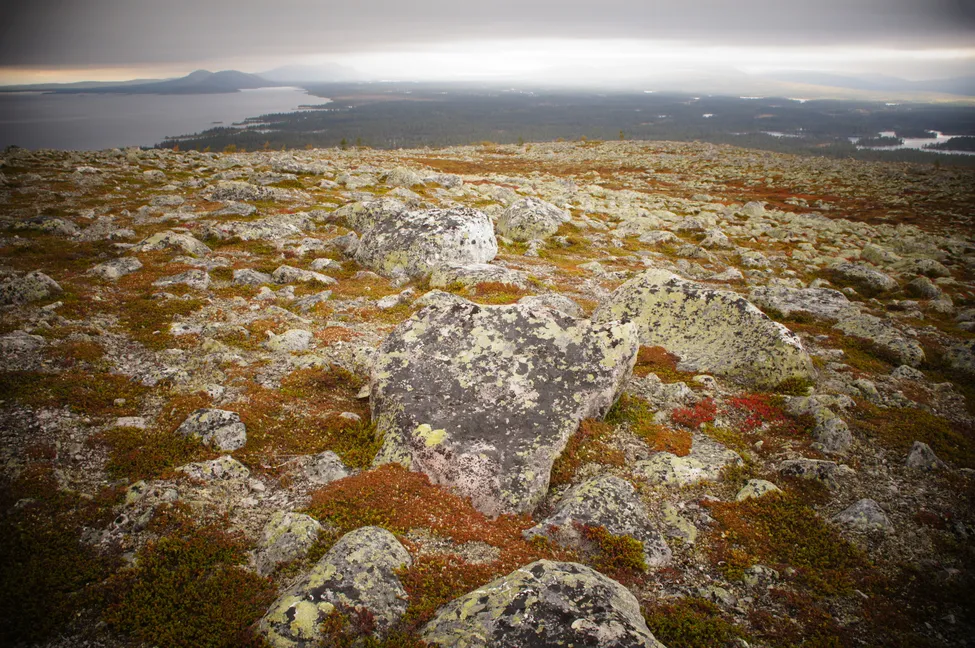 Klicka för att förstora