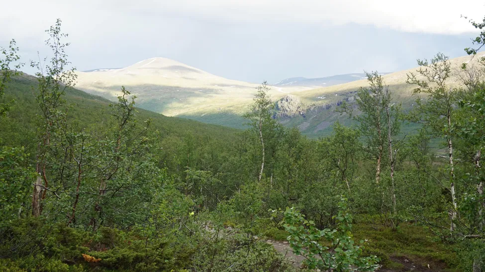 Klicka för att förstora