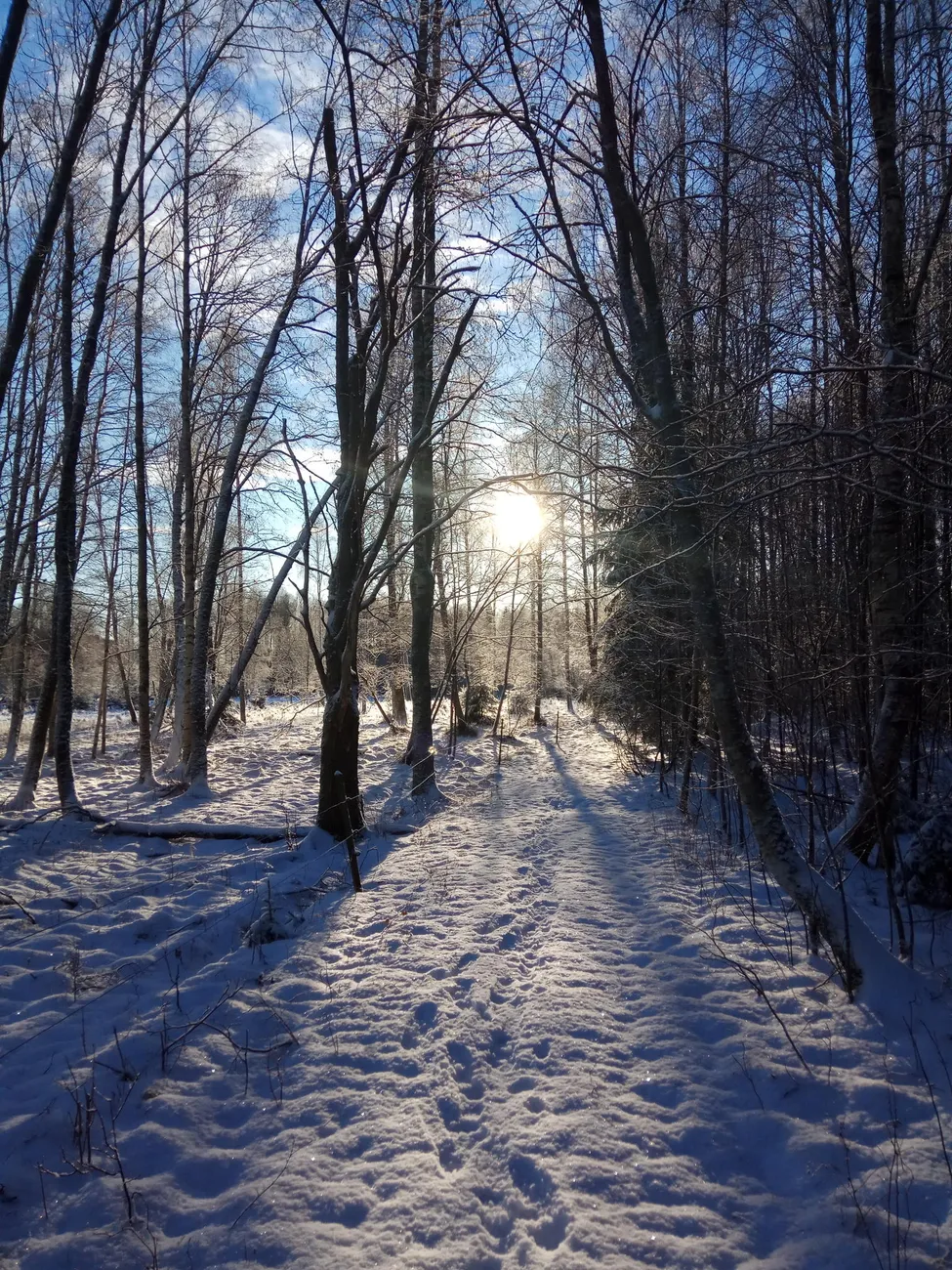 Klicka för att förstora