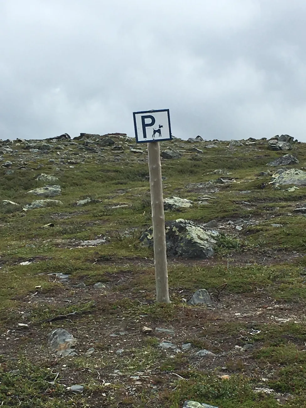 Klicka för att förstora