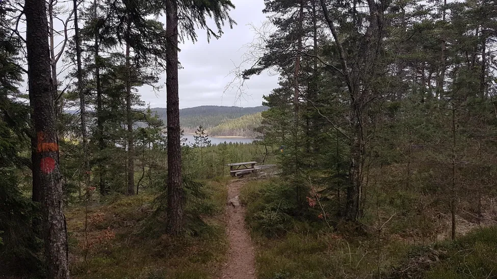 Klicka för att förstora