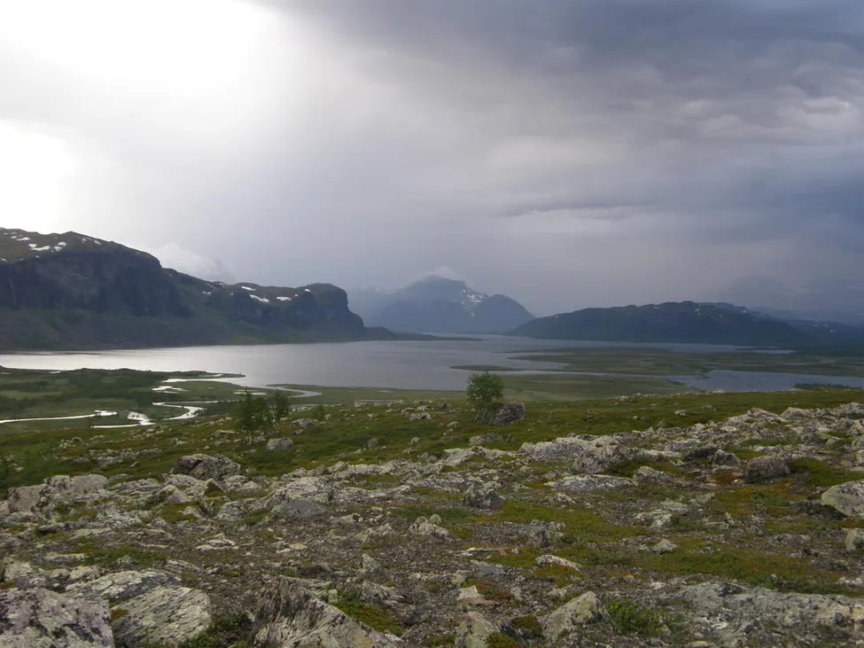 Klicka för att förstora