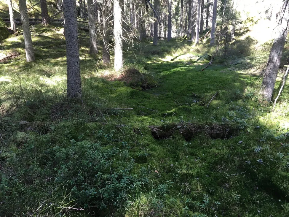 Klicka för att förstora
