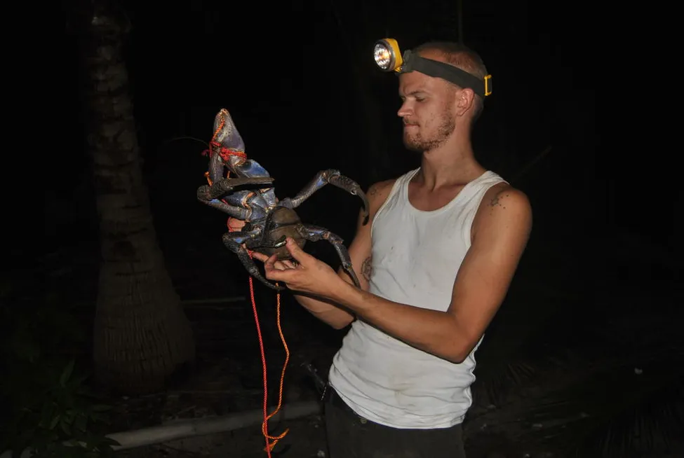 Klicka för att förstora