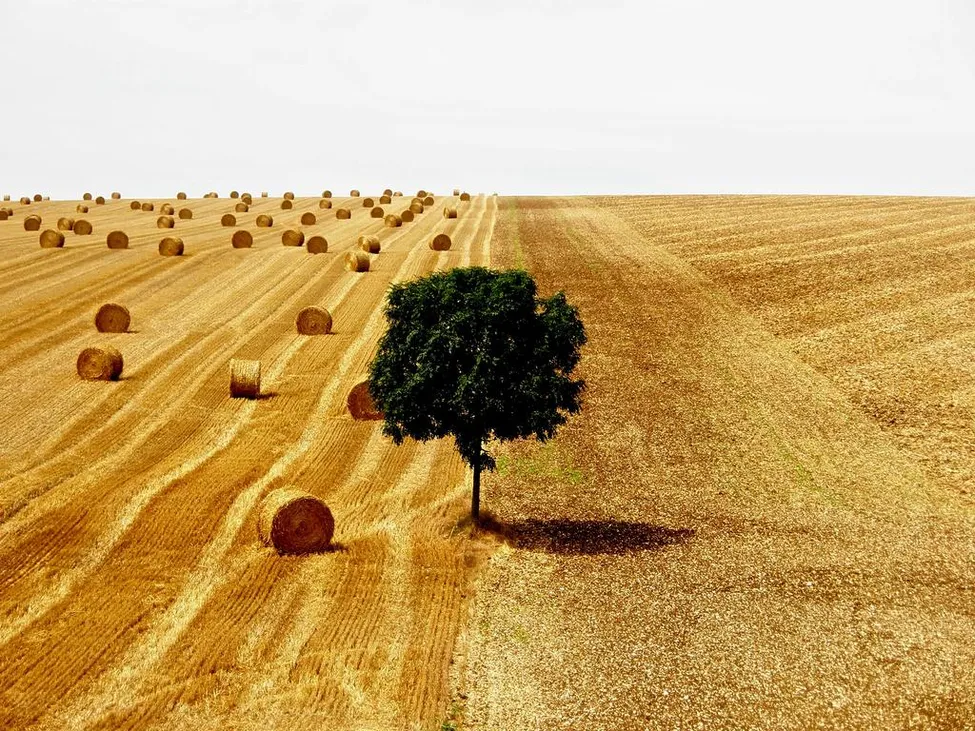 Klicka för att förstora