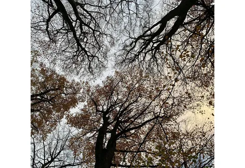 Crime walk på Romeleåsen