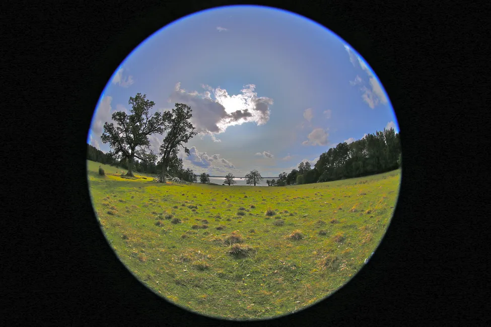 Klicka för att förstora