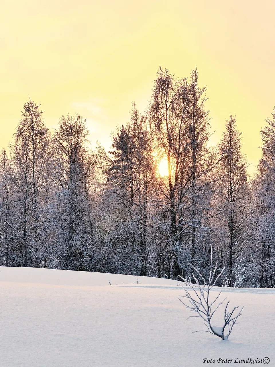 Klicka för att förstora