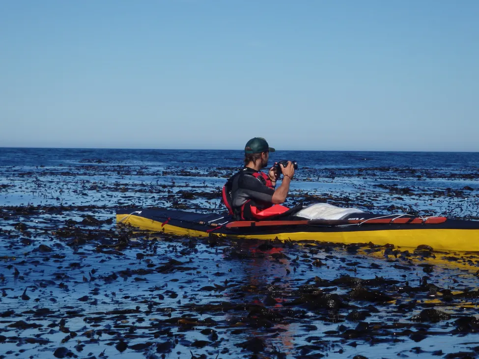 Klicka för att förstora