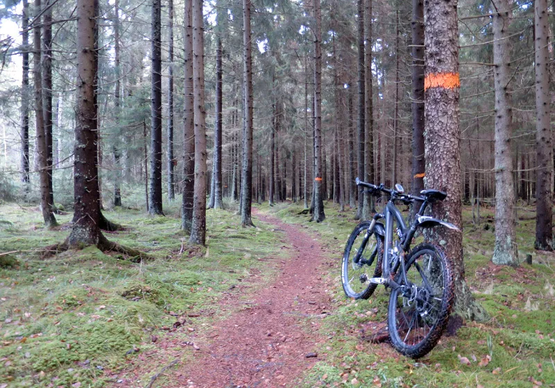 Klicka för att förstora