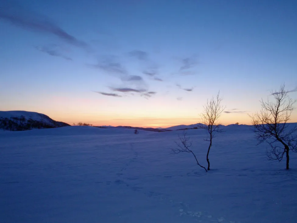 Klicka för att förstora