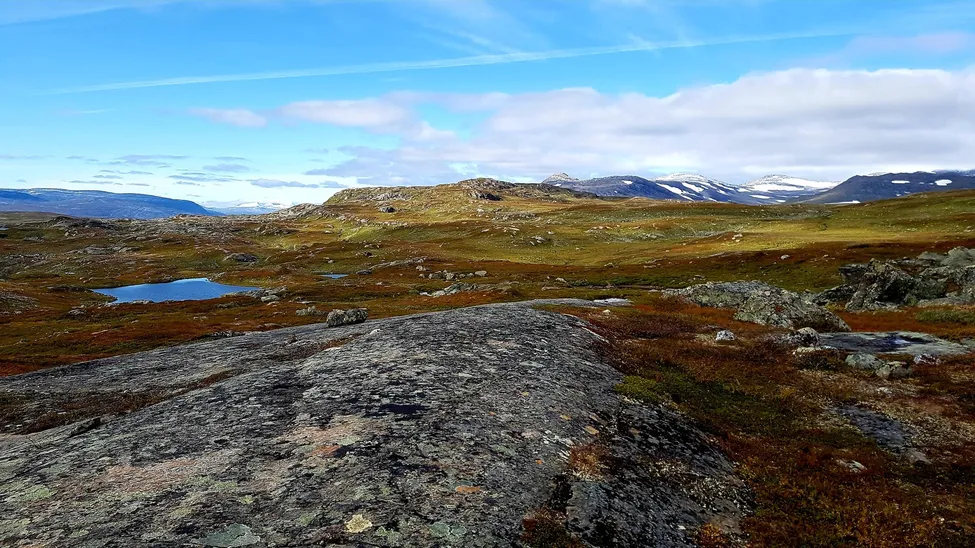 Klicka för att förstora