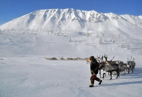 Tvärs över det frusna gränslandet