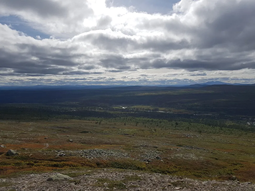 Klicka för att förstora