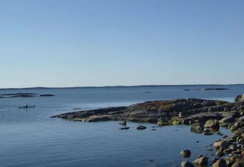 Från hobby till företag - del 2