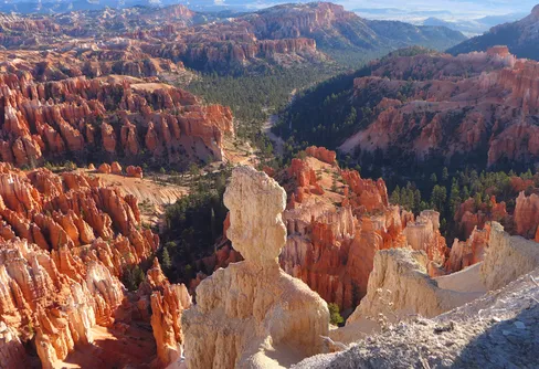 Böcker som förenar natur och spänning