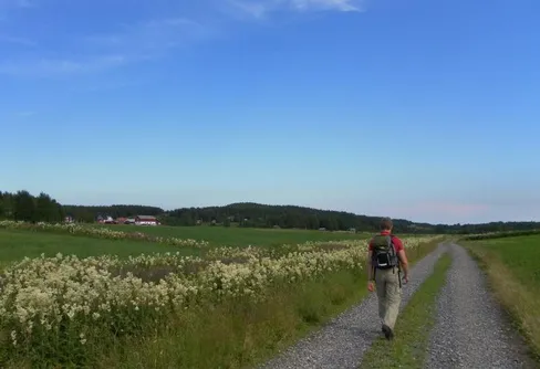 Kyrkstigen till Ragvaldsträsk