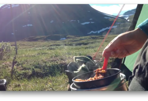 Vegetarisk tacogryta