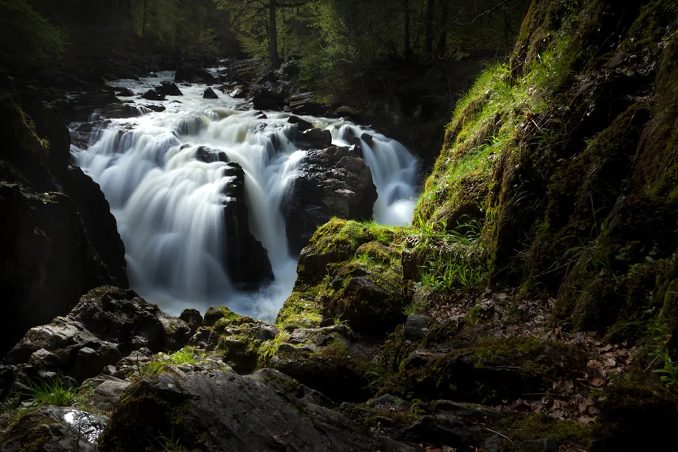 Klicka för att förstora