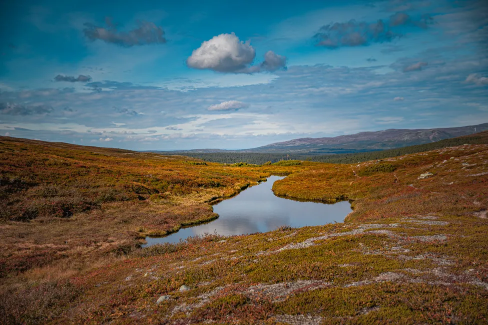 Klicka för att förstora