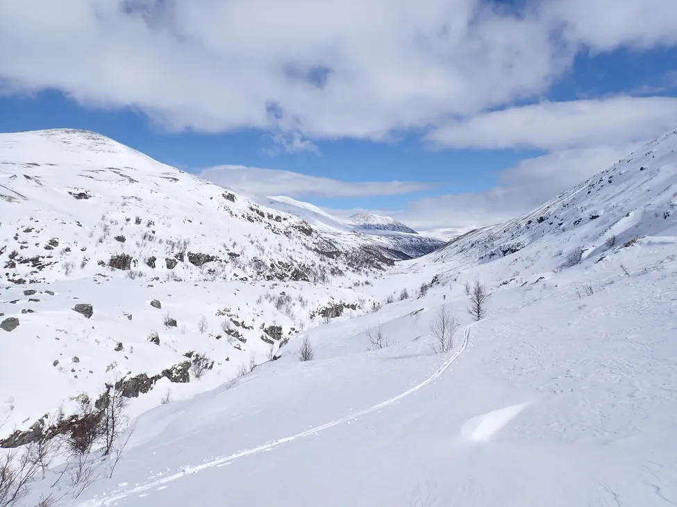 Klicka för att förstora