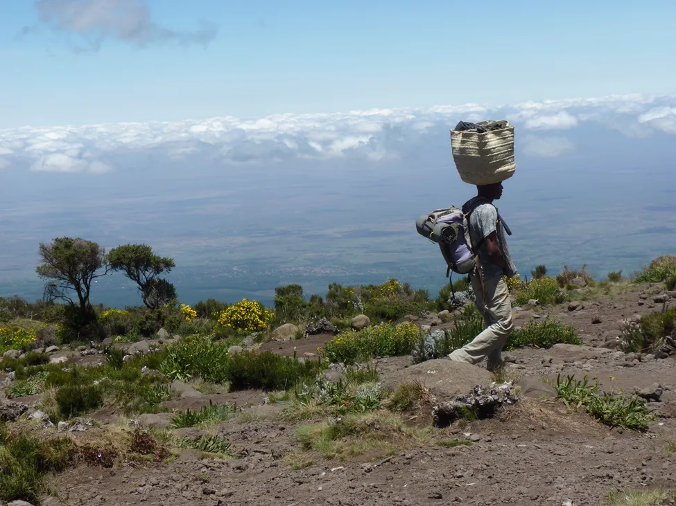 Klicka för att förstora