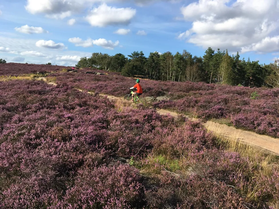 Klicka för att förstora