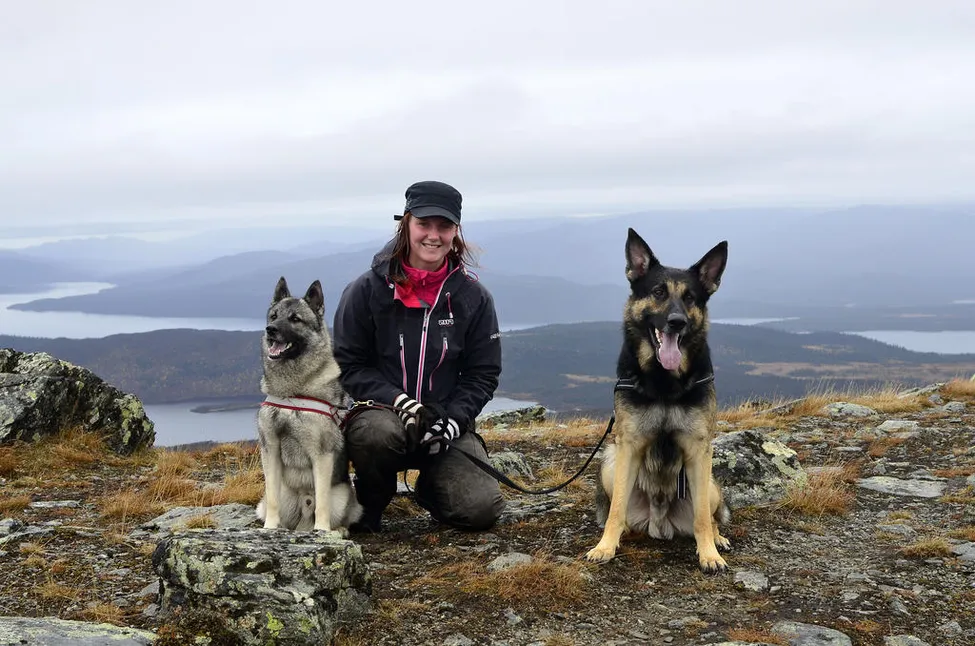 Klicka för att förstora