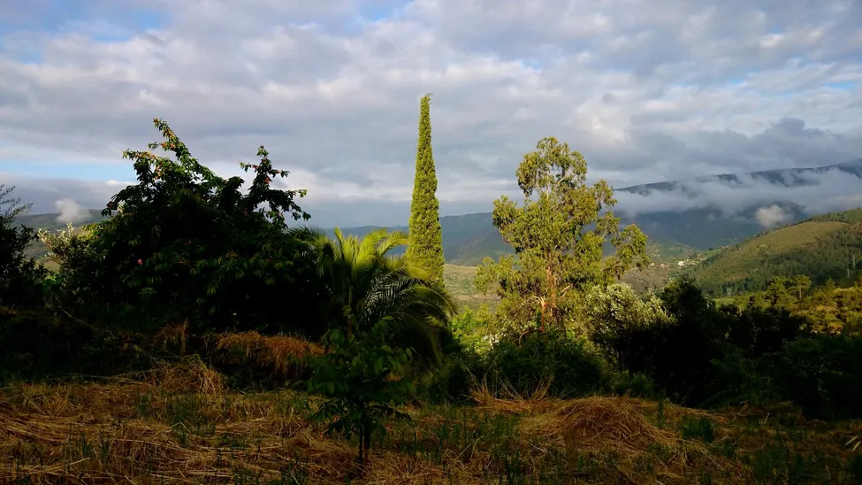 Klicka för att förstora