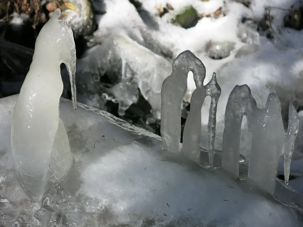 Klicka för att förstora