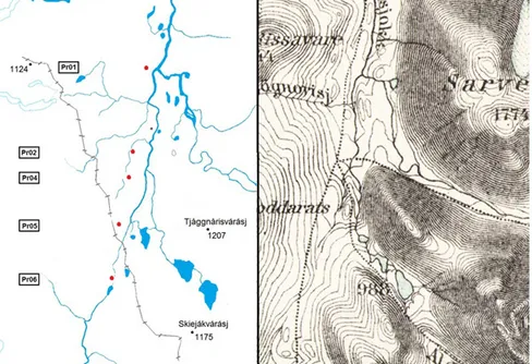 Färdvägen på fjället - Präststigen (1)